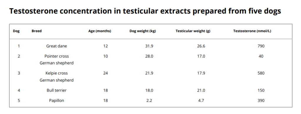 testosterona aplicação