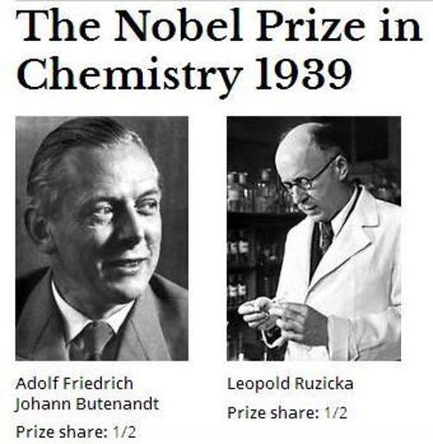 testosterona nobel